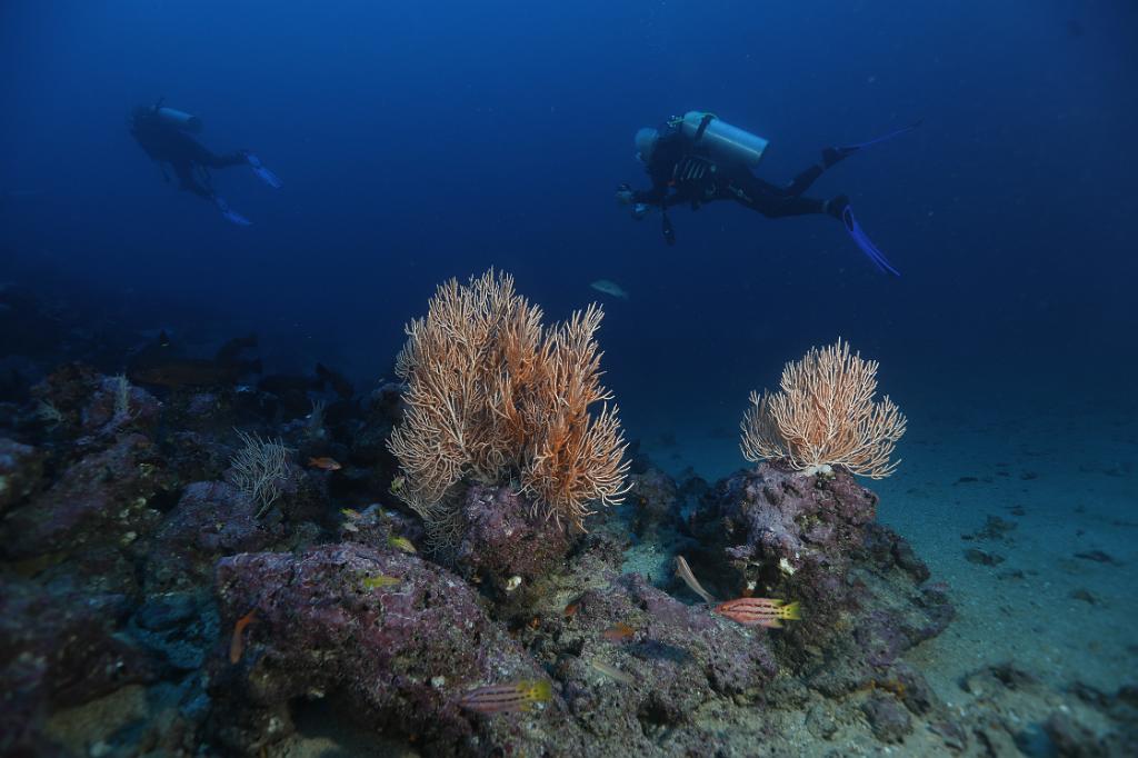 190919_S4A3709Sandra Bessudo.JPG